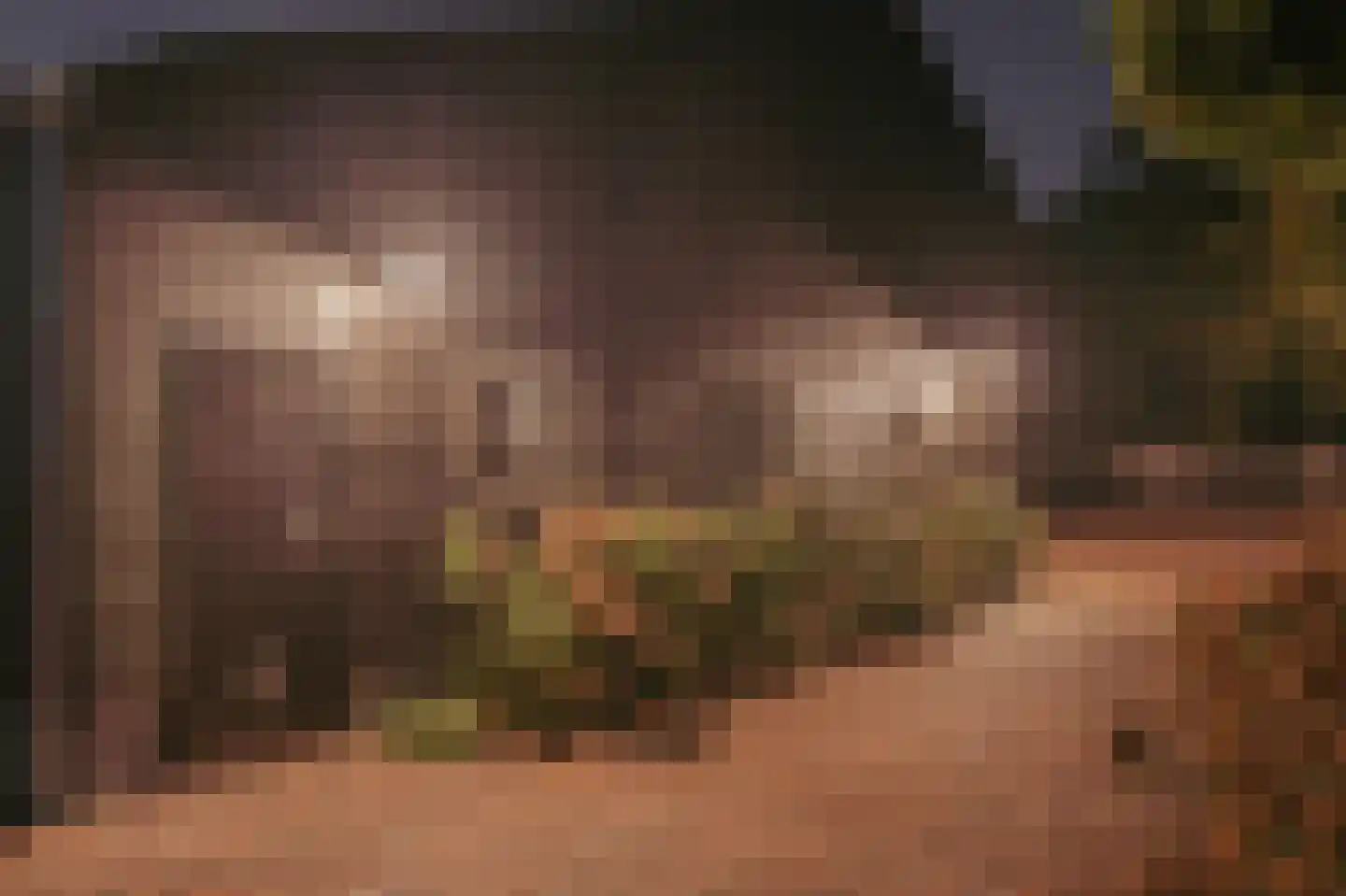 Vreelandseweg 14 Nigtevecht thumbnail 35