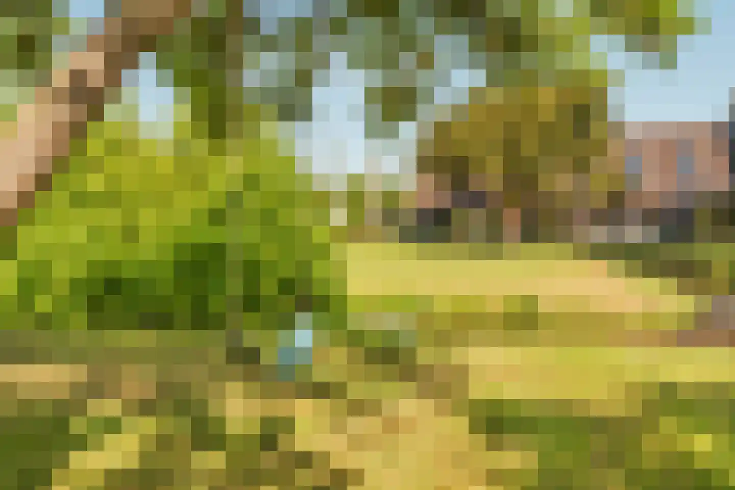 Vreelandseweg 14 Nigtevecht thumbnail 43
