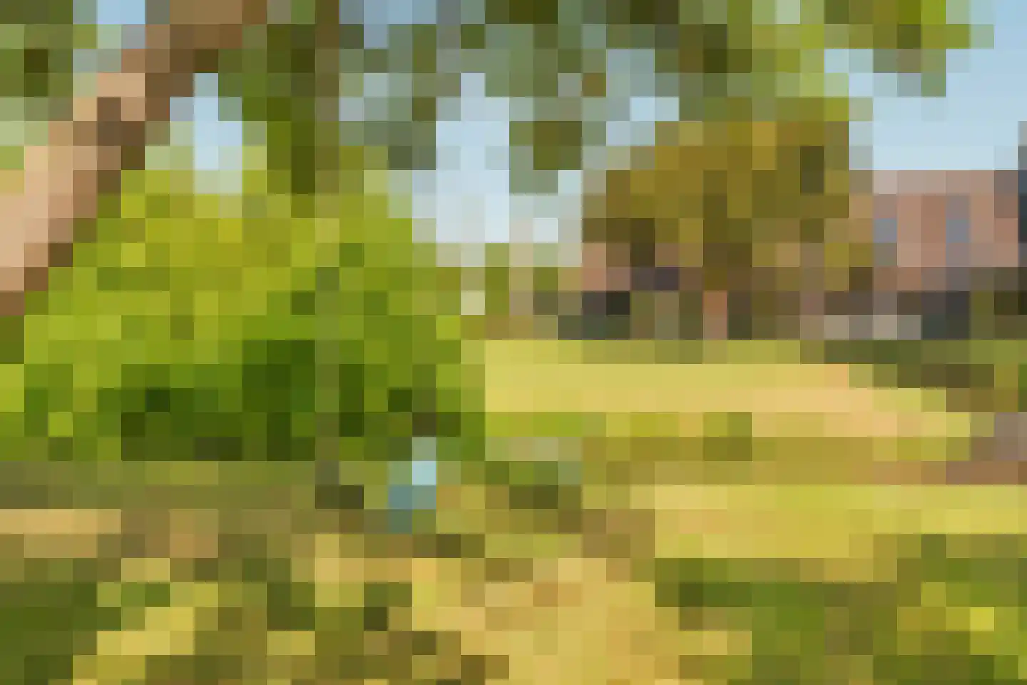 Vreelandseweg 14 Nigtevecht thumbnail 46