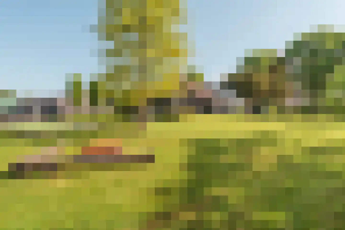 Vreelandseweg 14 Nigtevecht thumbnail 47