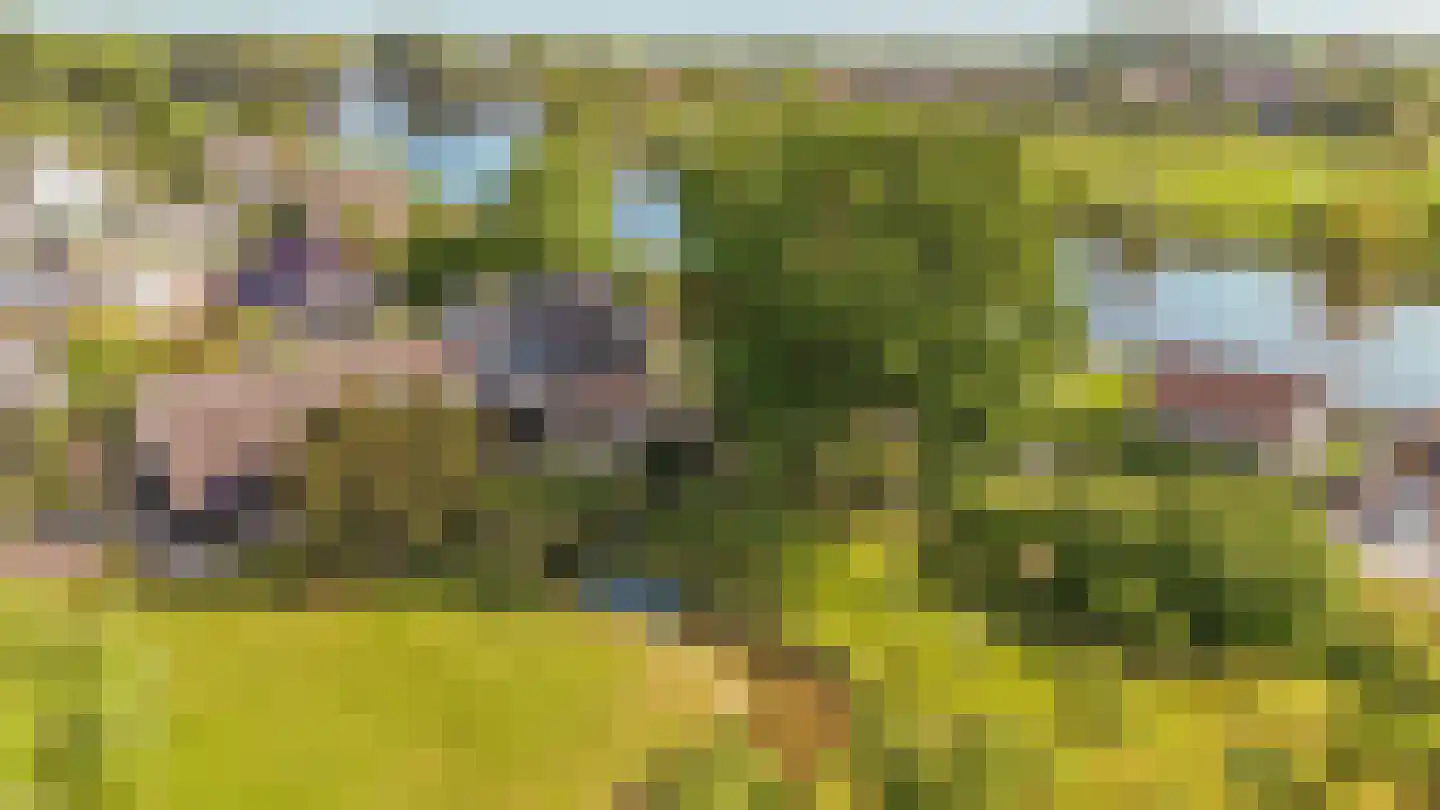 Vreelandseweg 14 Nigtevecht thumbnail 48