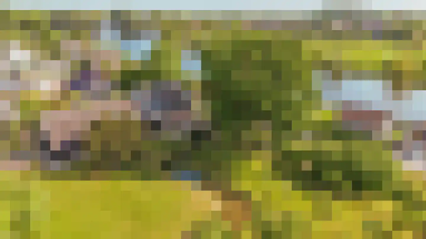Vreelandseweg 14 Nigtevecht thumbnail 49