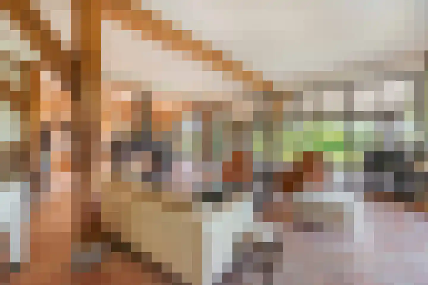 Vreelandseweg 14 Nigtevecht thumbnail 5