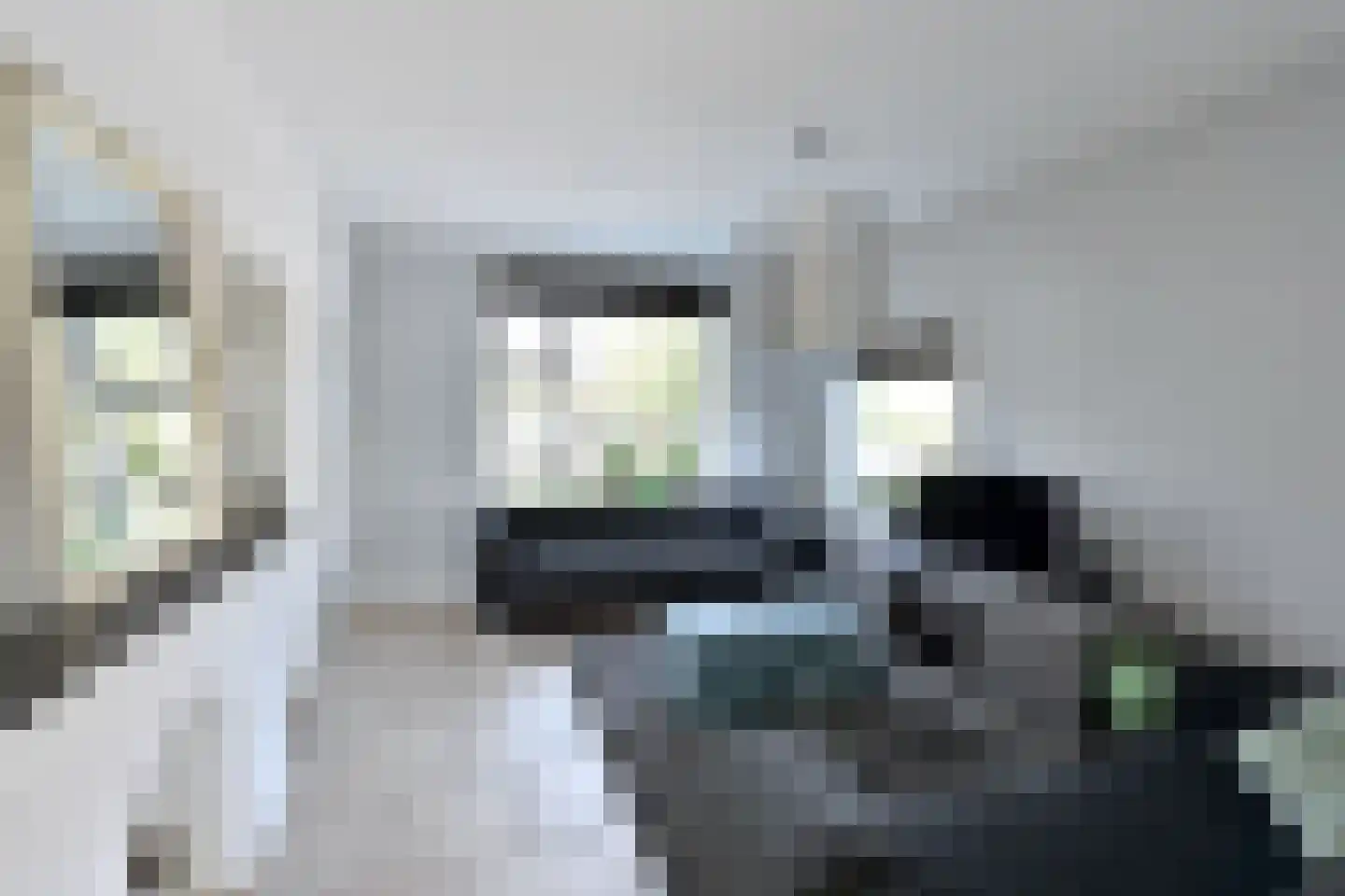 Vreelandseweg 17 Nederhorst den Berg thumbnail 5