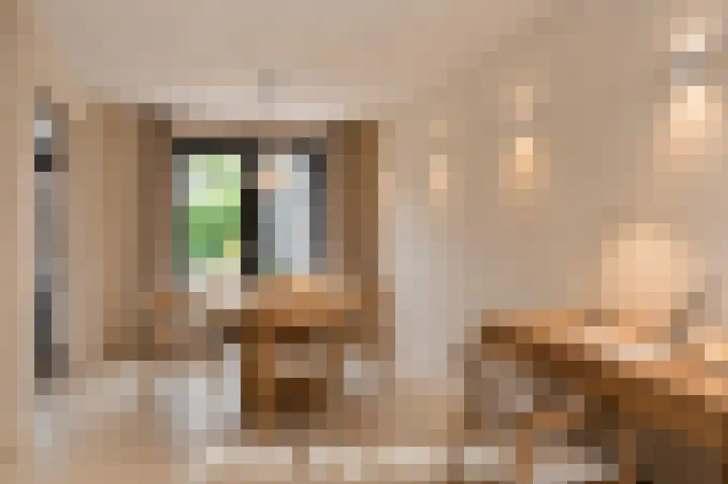 Vreelandseweg 26 Nederhorst den Berg thumbnail 22