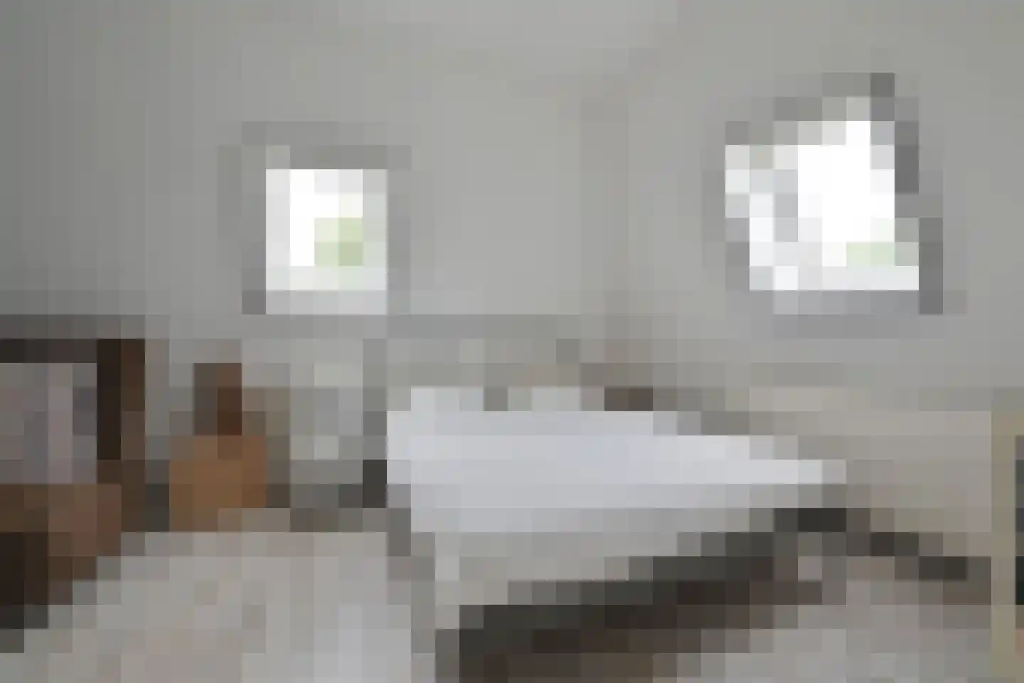 Vreelandseweg 26 Nederhorst den Berg thumbnail 37