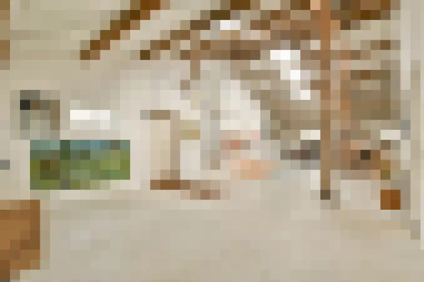 Vreelandseweg 42 Nigtevecht thumbnail 17