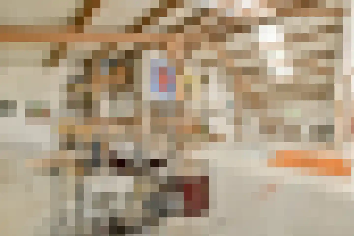 Vreelandseweg 42 Nigtevecht thumbnail 18
