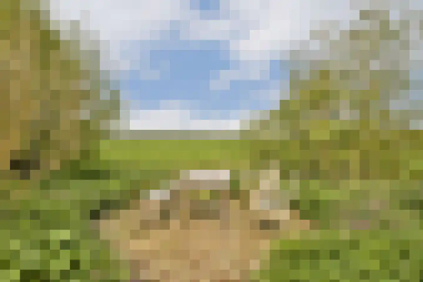 Vreelandseweg 42 Nigtevecht thumbnail 26