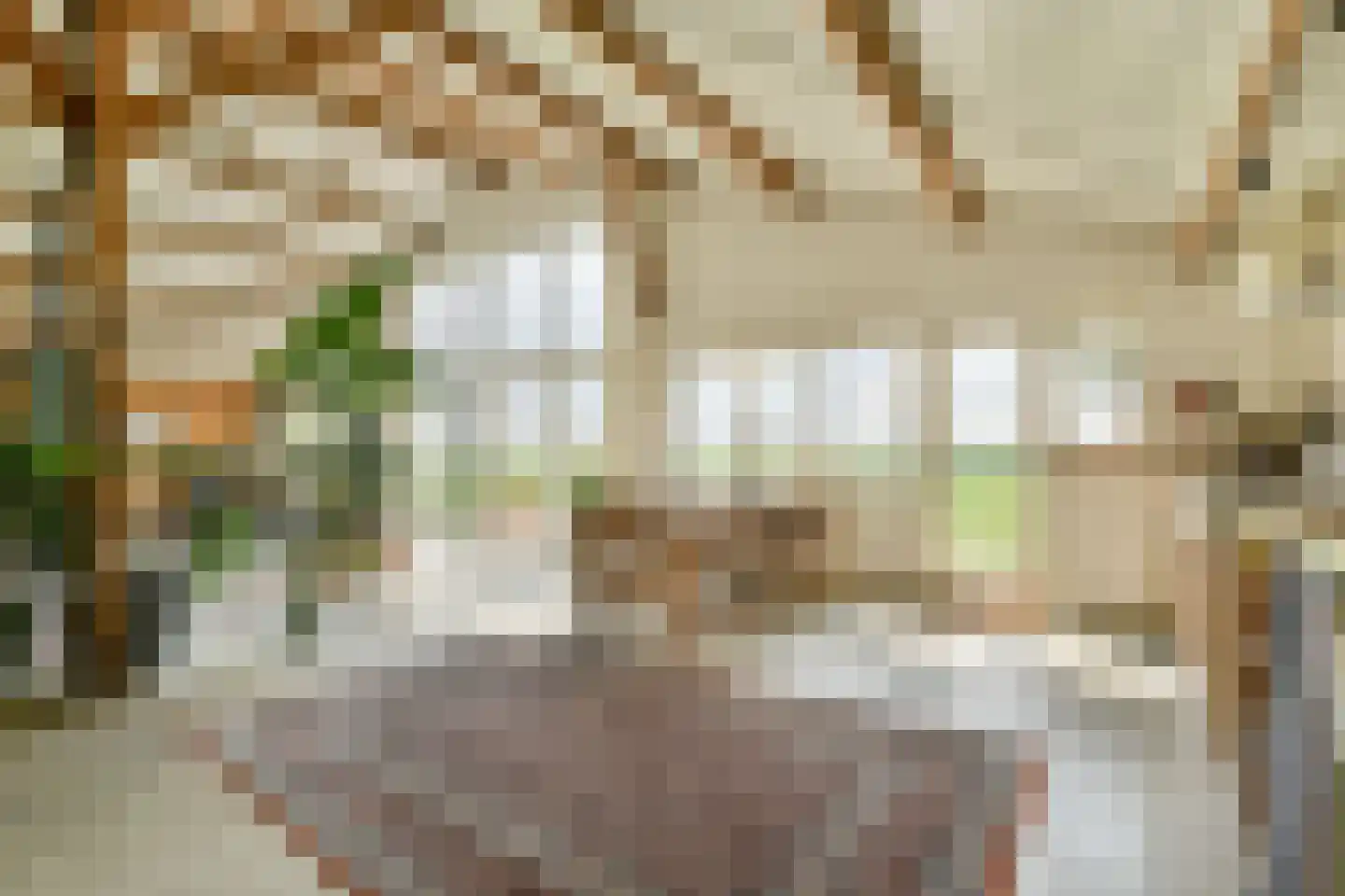 Vreelandseweg 42 Nigtevecht thumbnail 4