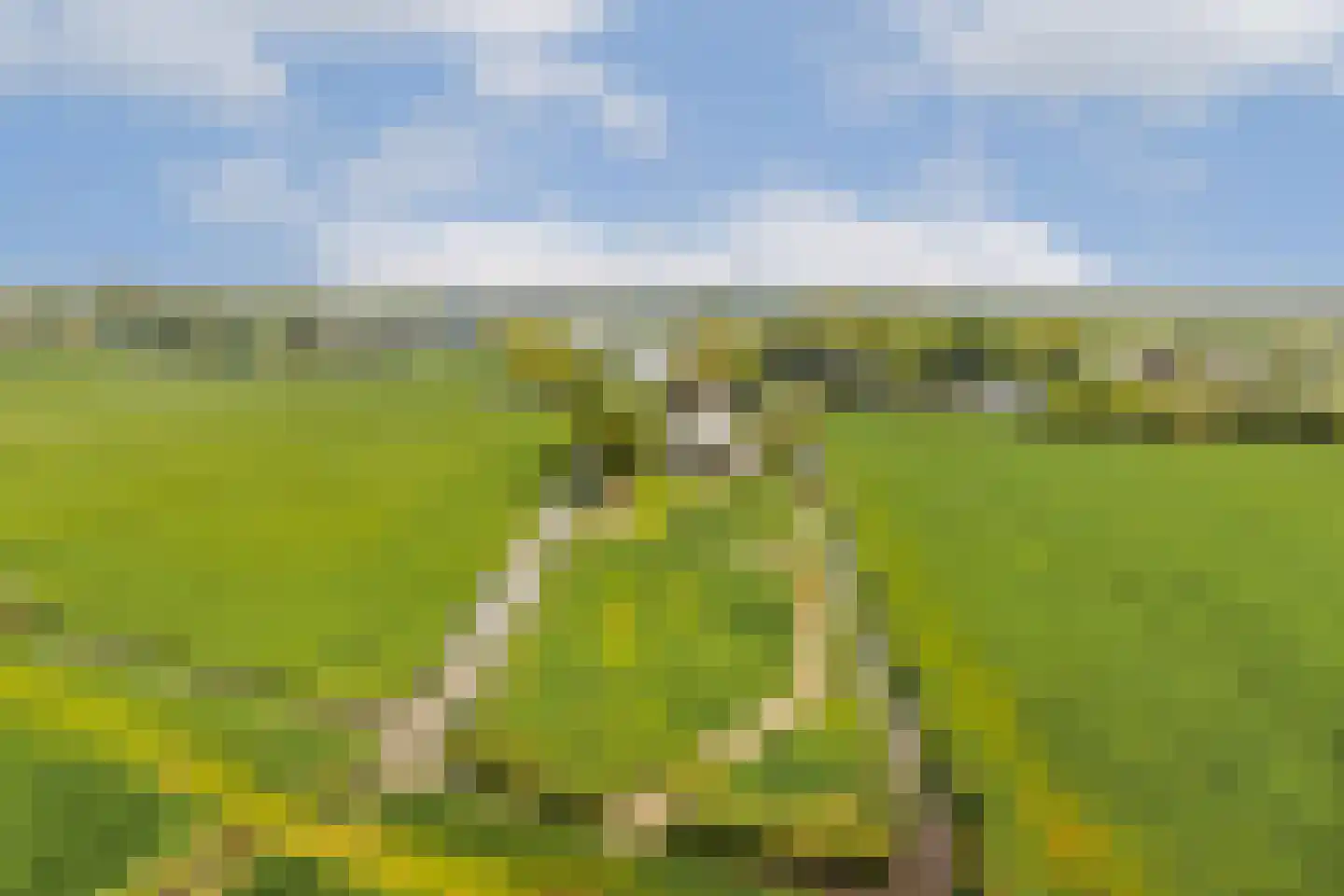 Vreelandseweg 42 Nigtevecht thumbnail 41