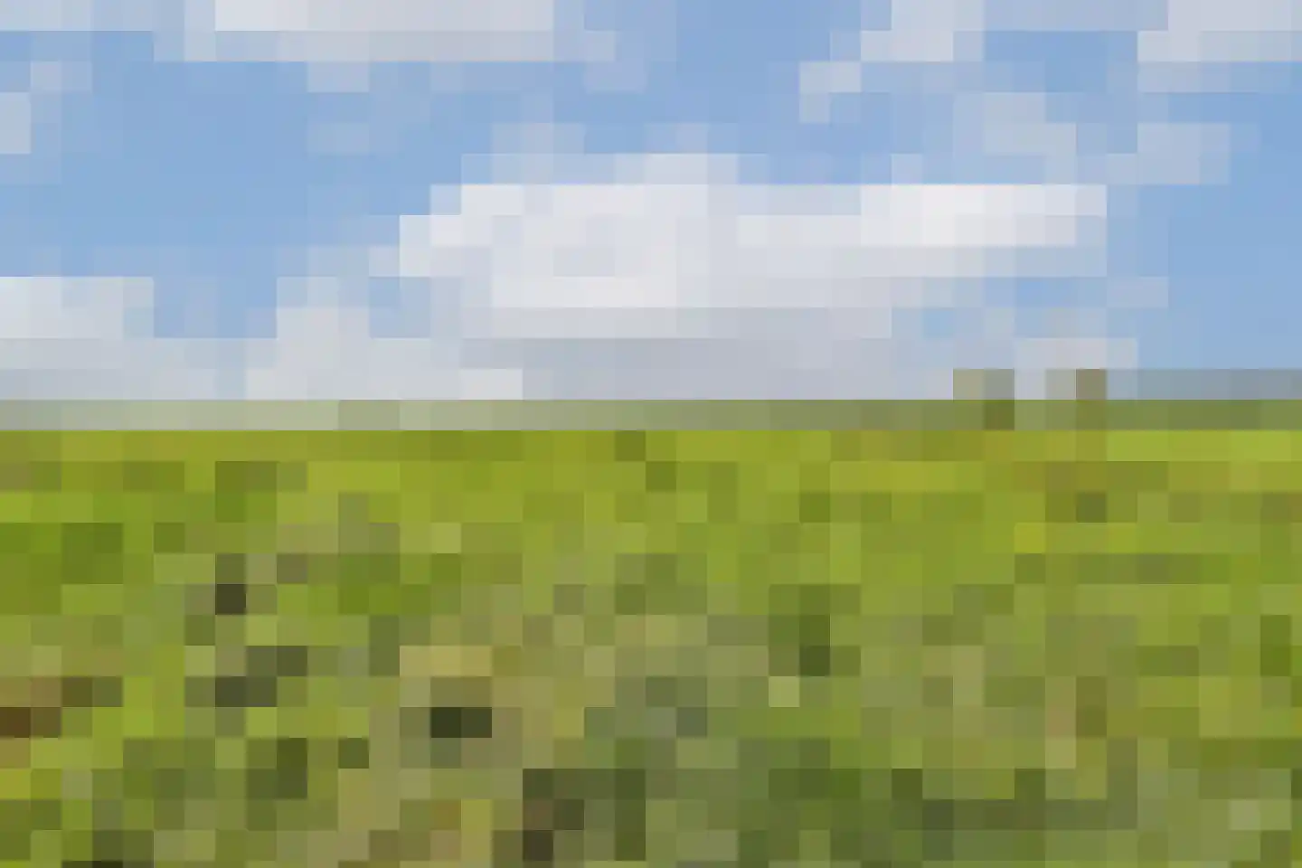 Vreelandseweg 42 Nigtevecht thumbnail 42