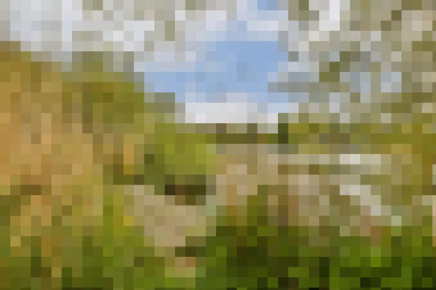 Vreelandseweg 42 Nigtevecht thumbnail 43
