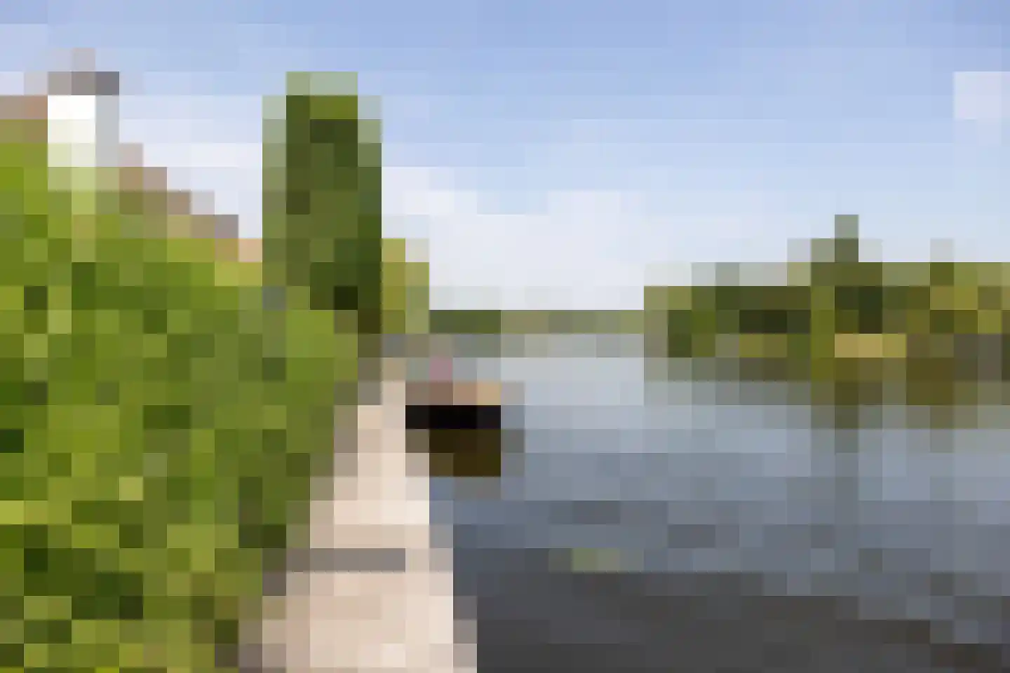 Vreelandseweg 99 Nigtevecht thumbnail 19