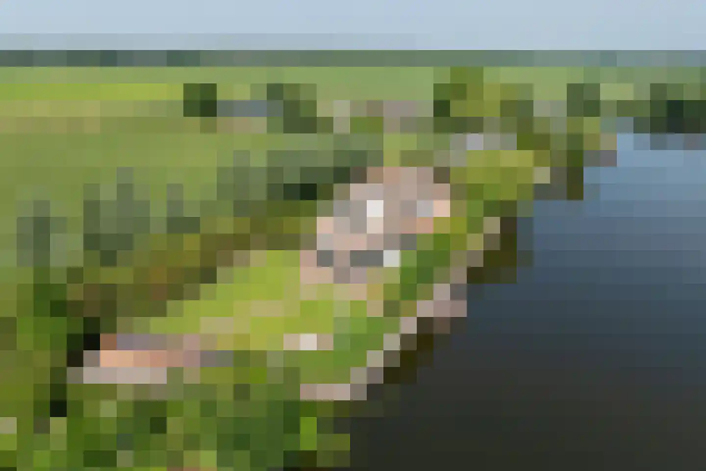 Vreelandseweg 99 Nigtevecht thumbnail 82