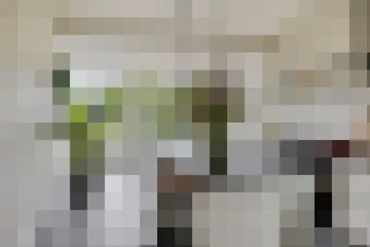Vreesweg 9 Winterswijk thumbnail 17