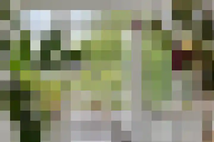 Vreesweg 9 Winterswijk thumbnail 23