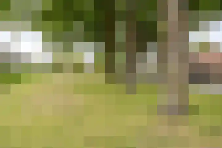 Vreesweg 9 Winterswijk thumbnail 56