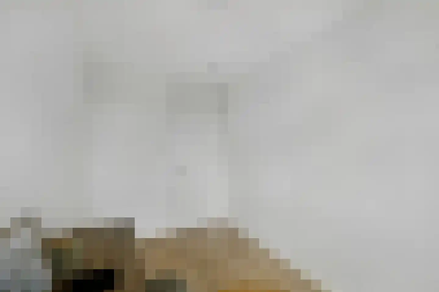 Vreeswijkpad 142 Amsterdam thumbnail 17