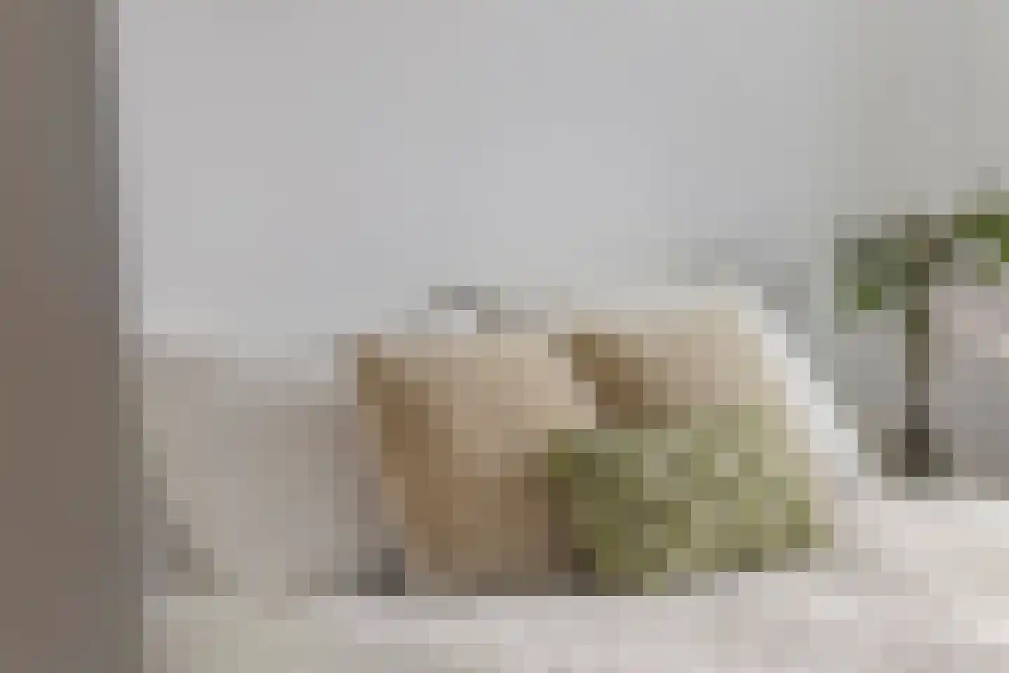 Vreeswijkpad 142 Amsterdam thumbnail 19