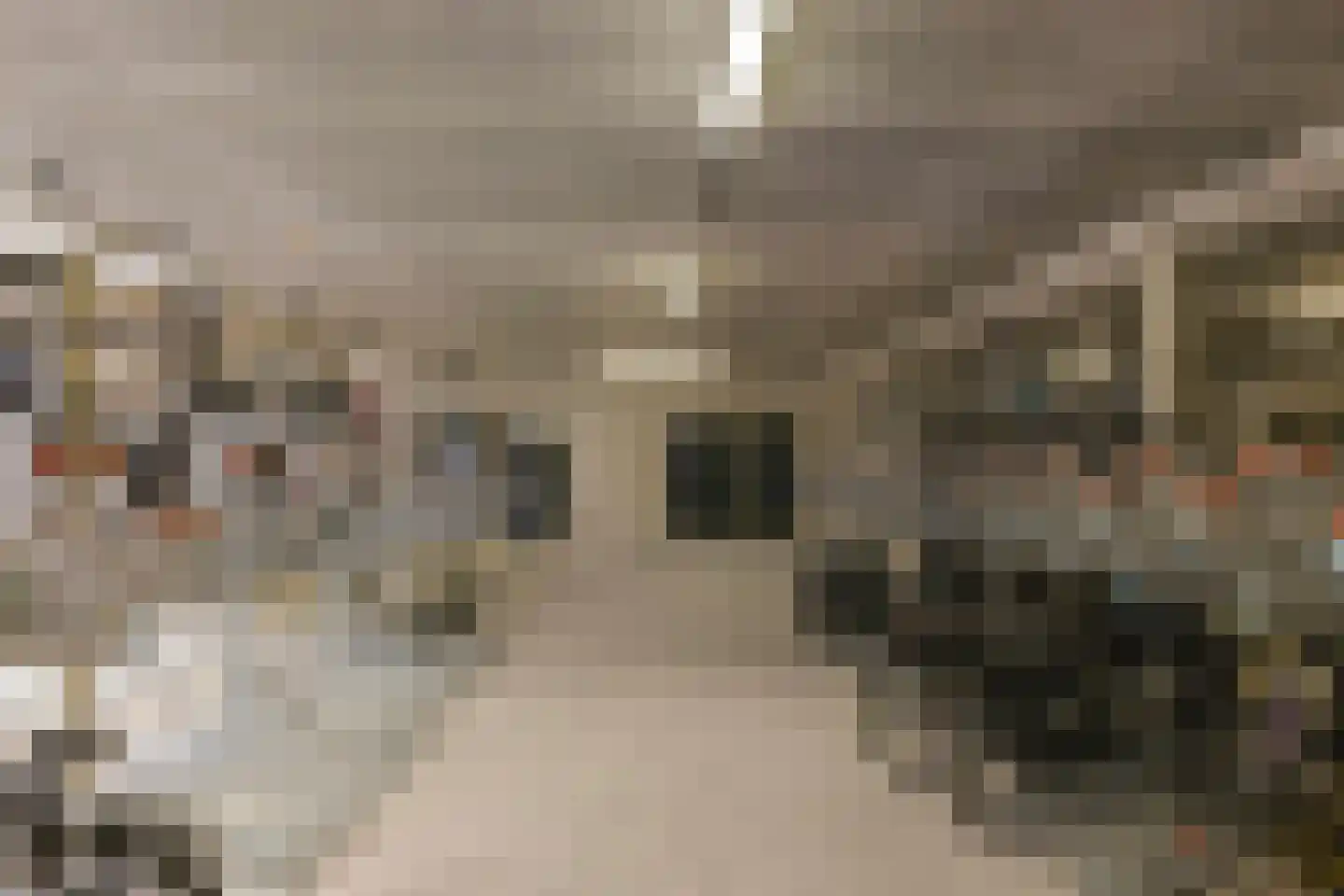 Vreeswijkpad 142 Amsterdam thumbnail 27