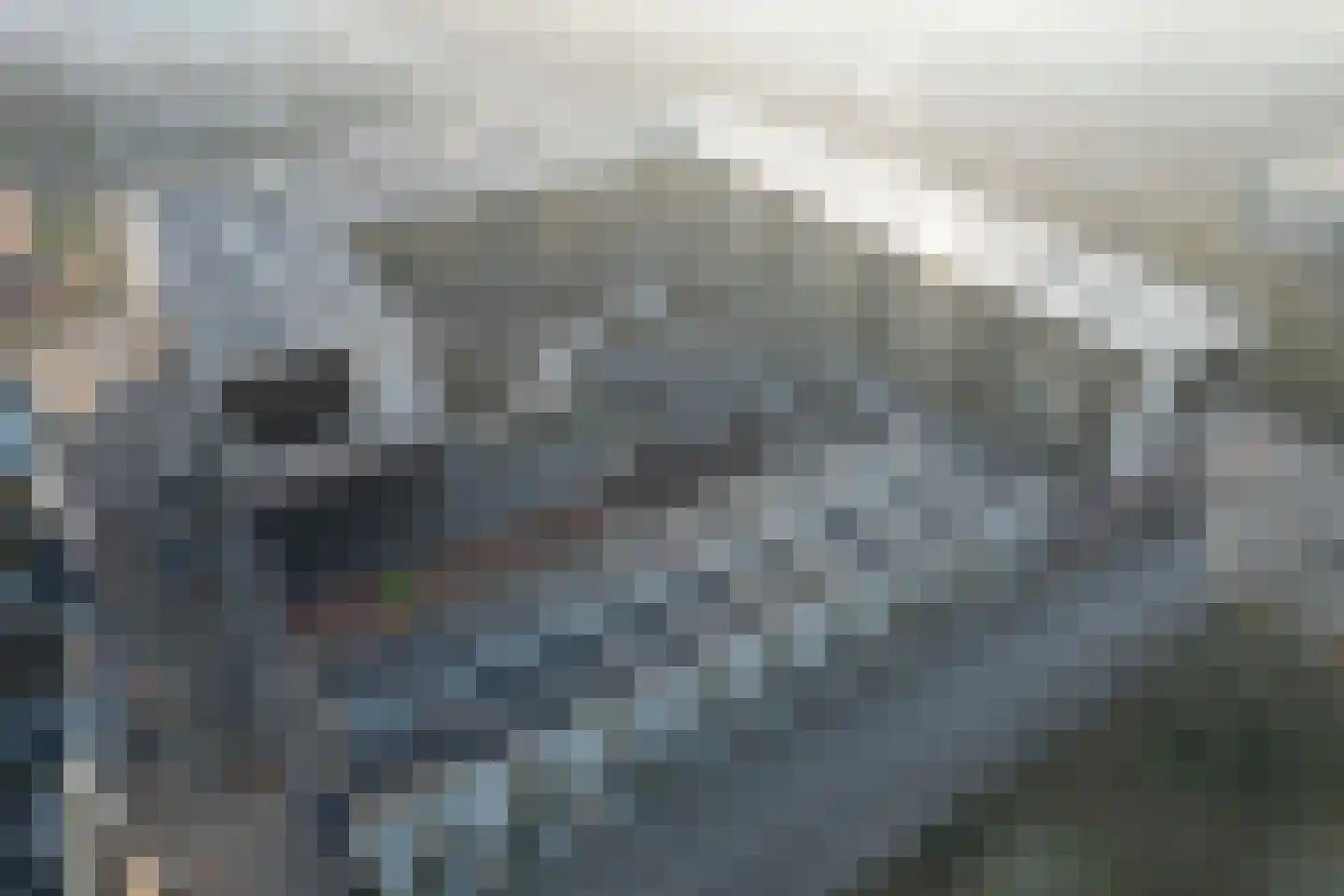 Vreeswijkpad 169 Amsterdam thumbnail 8