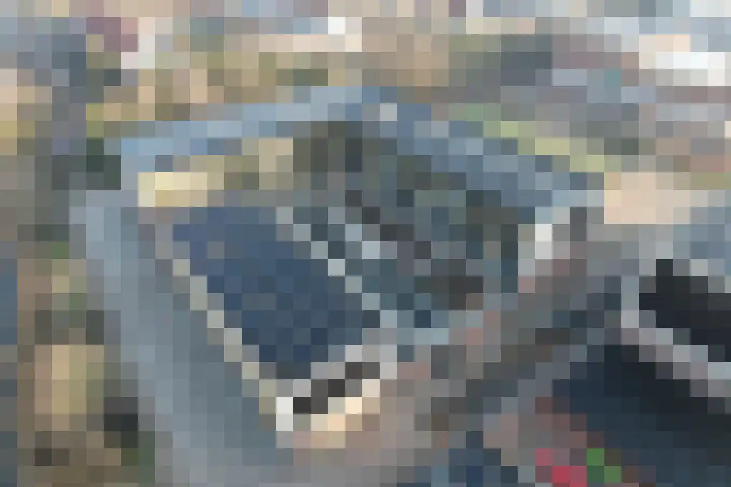 Vreeswijkpad 169 Amsterdam thumbnail 9