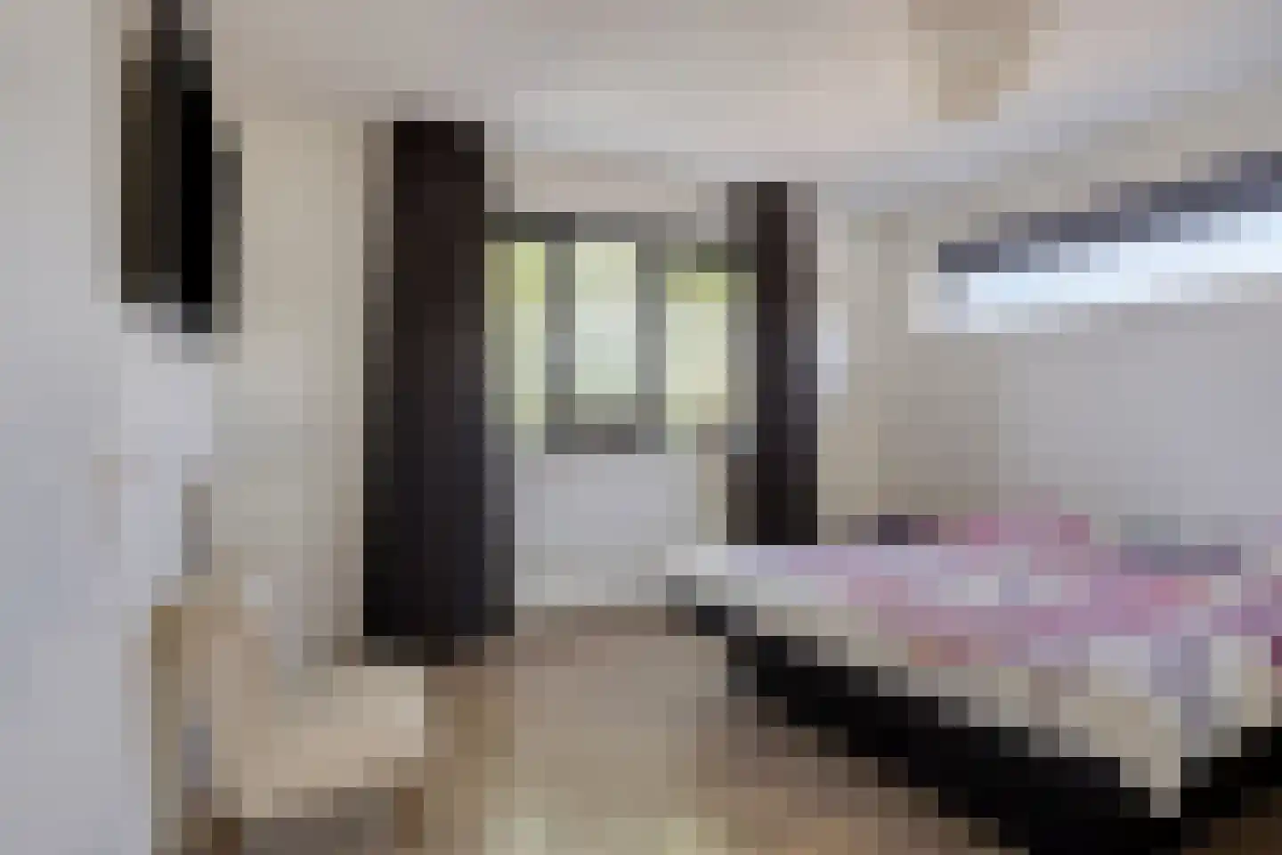 Vreeswijkstraat 1 Tilburg thumbnail 33
