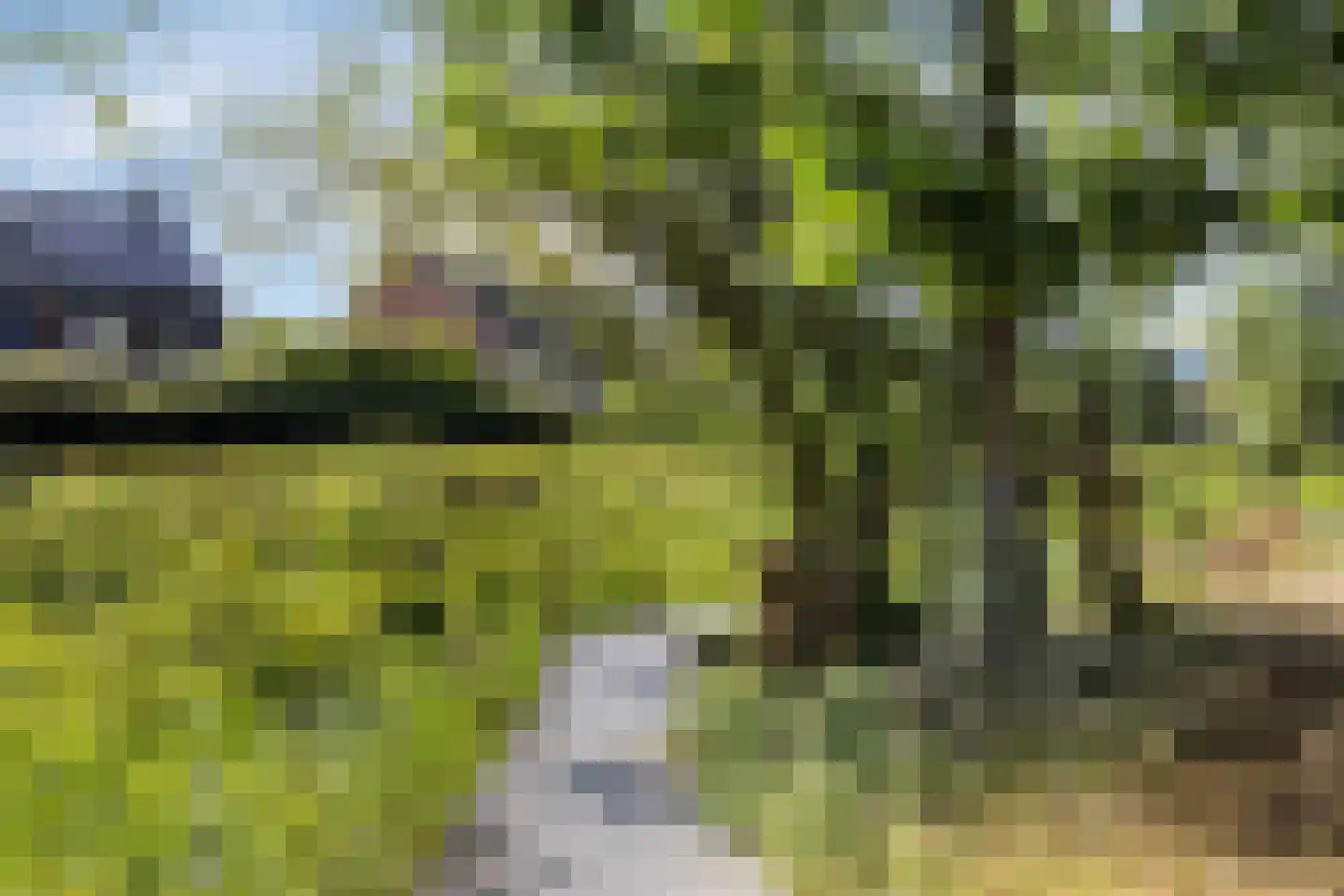 Vreeswijkstraat 1 Tilburg thumbnail 62
