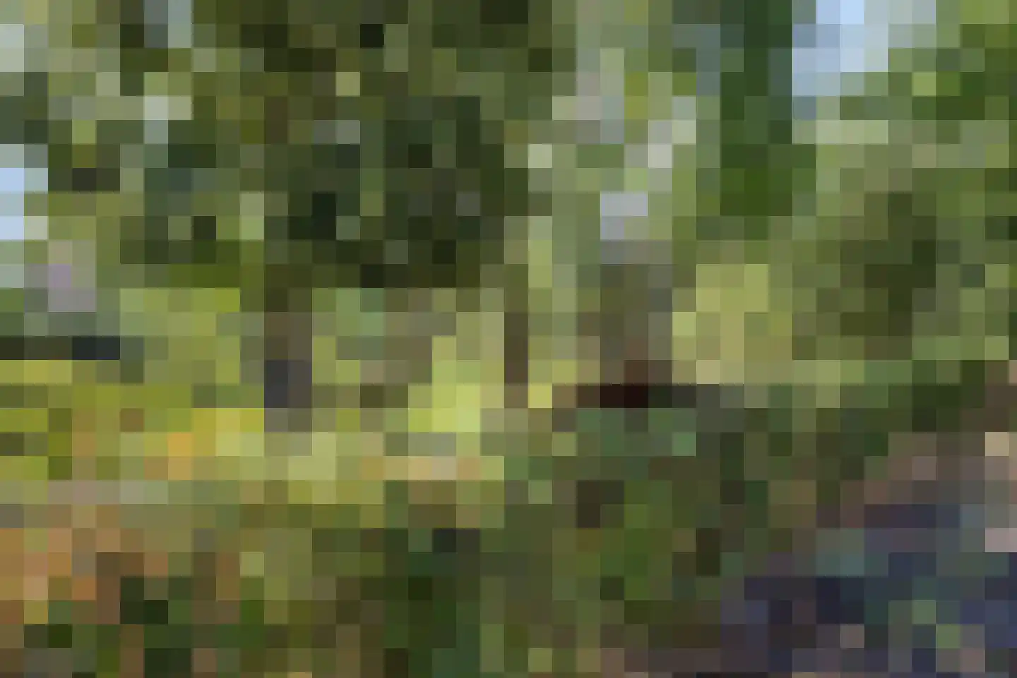 Vreeswijkstraat 1 Tilburg thumbnail 64