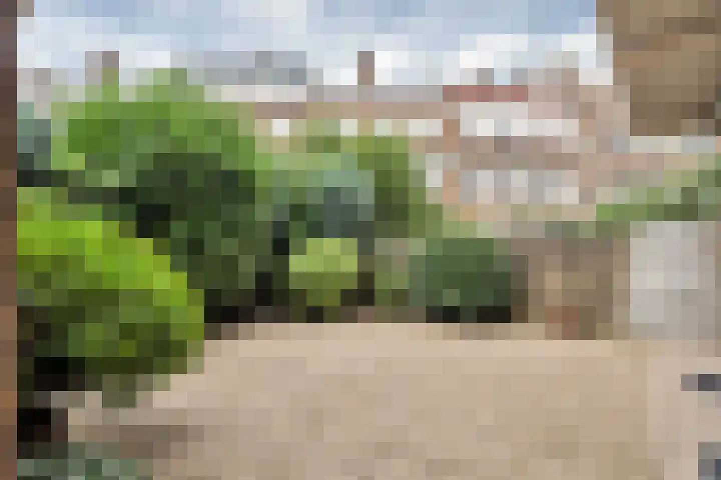 Vreeswijkstraat 25 Den Haag thumbnail 29