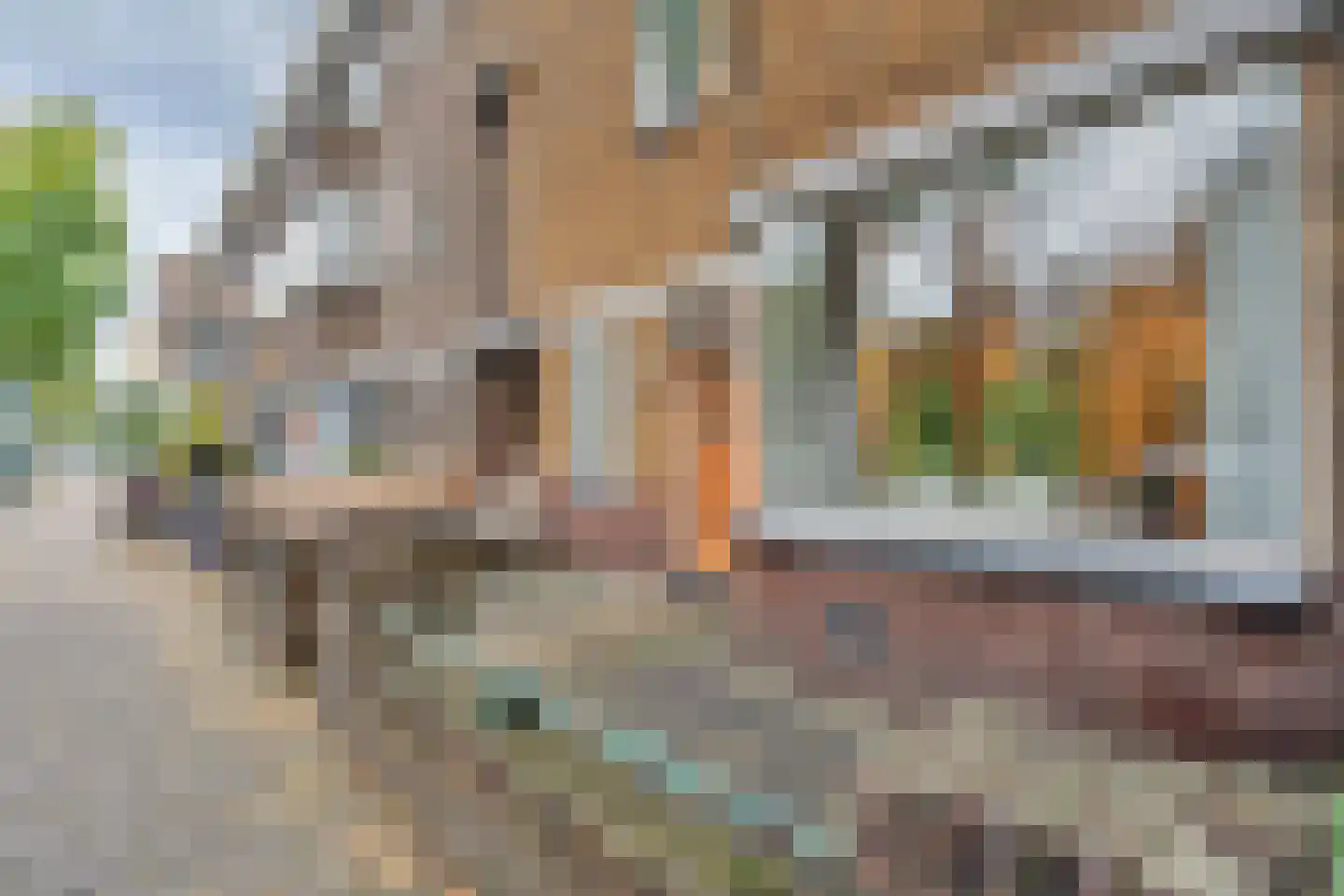 Vreeswijkstraat 25 Den Haag thumbnail 34