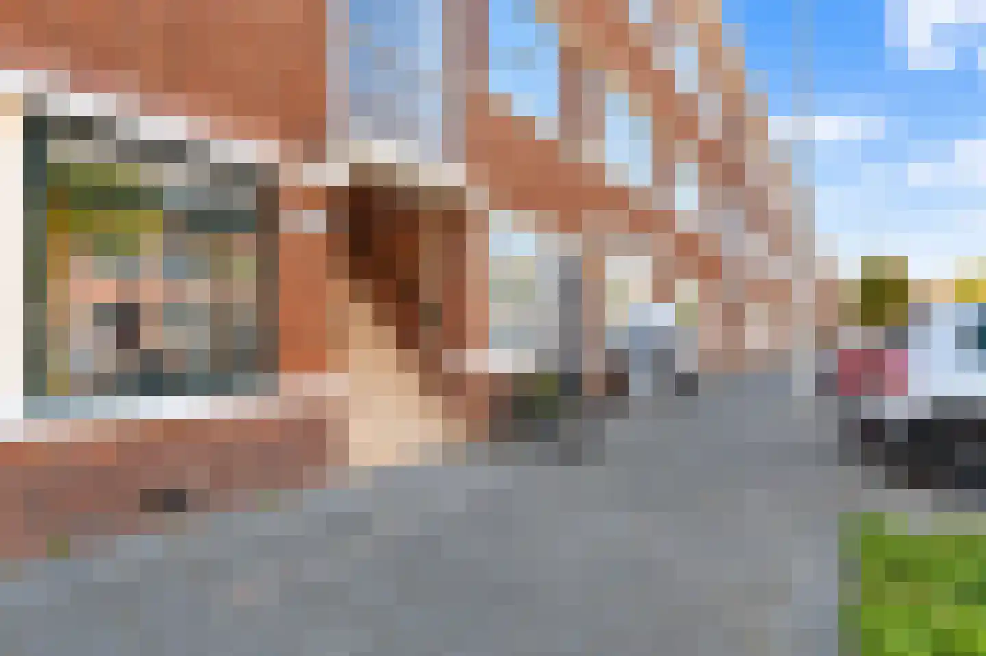 Vreeswijkstraat 304 Den Haag thumbnail 9