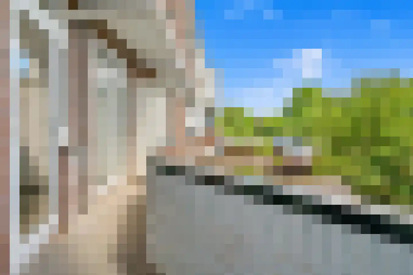 Vreeswijkstraat 400 Den Haag thumbnail 19