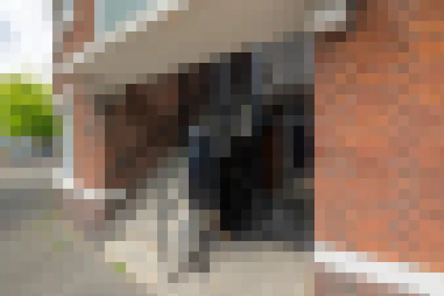 Vreeswijkstraat 823 Den Haag thumbnail 6