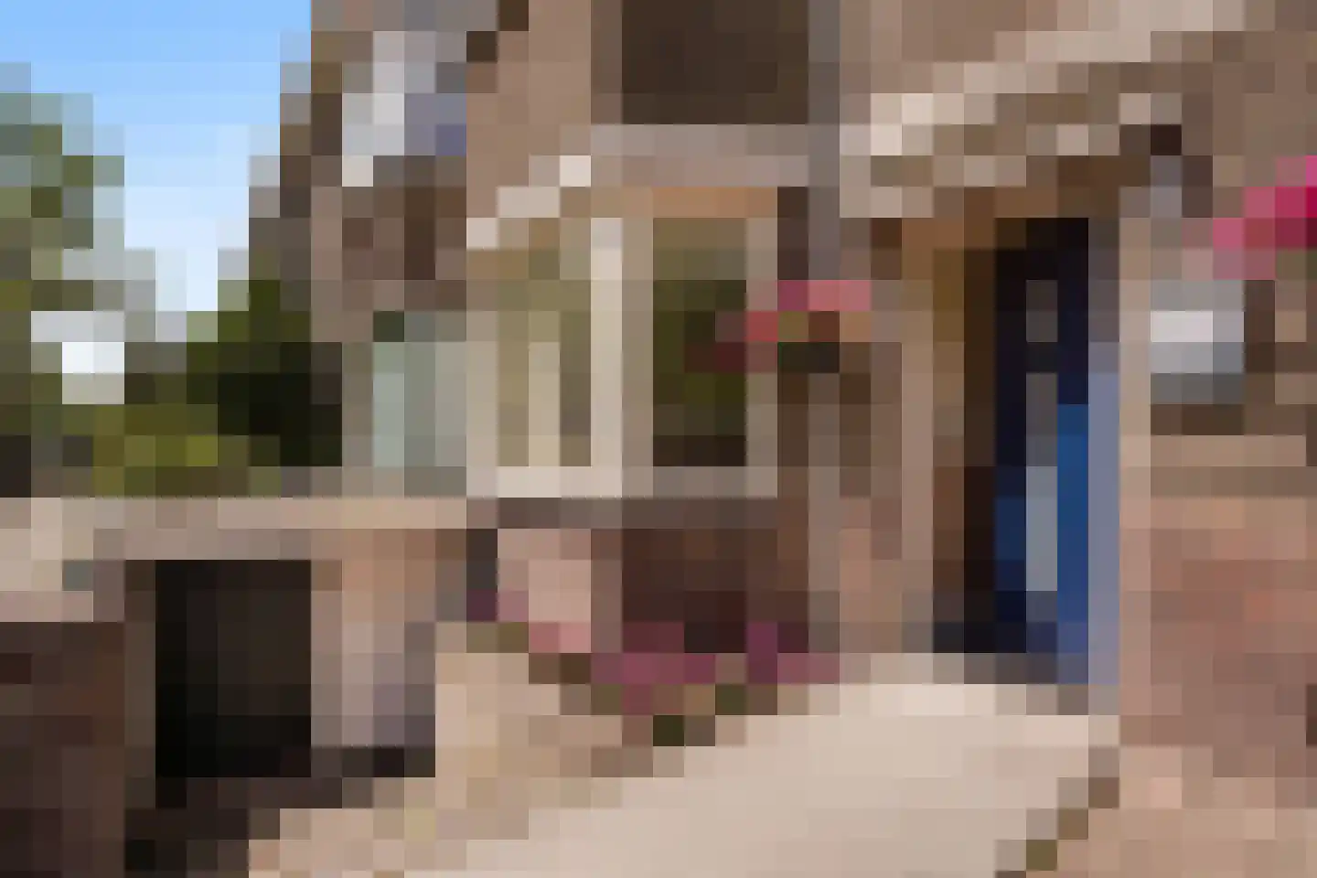 Vreeswijkstraat 93 Den Haag thumbnail 11
