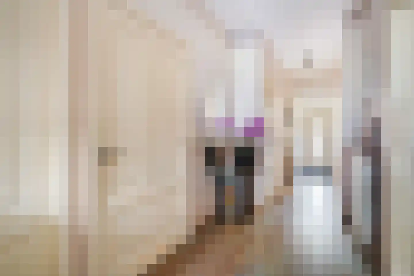 Vreeswijkstraat 93 Den Haag thumbnail 12