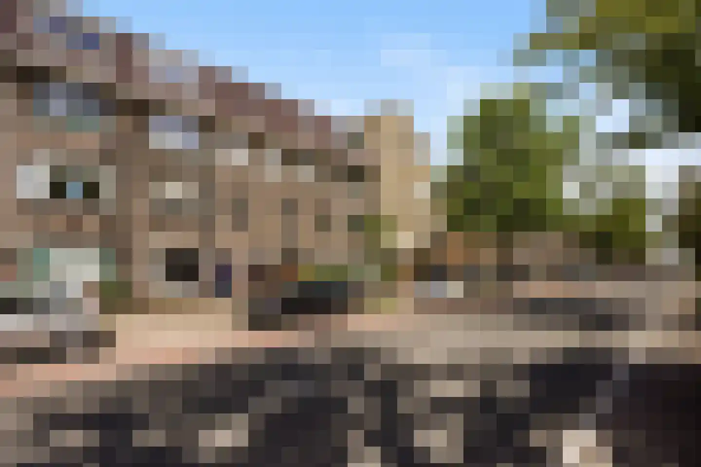 Vreeswijkstraat 93 Den Haag thumbnail 6