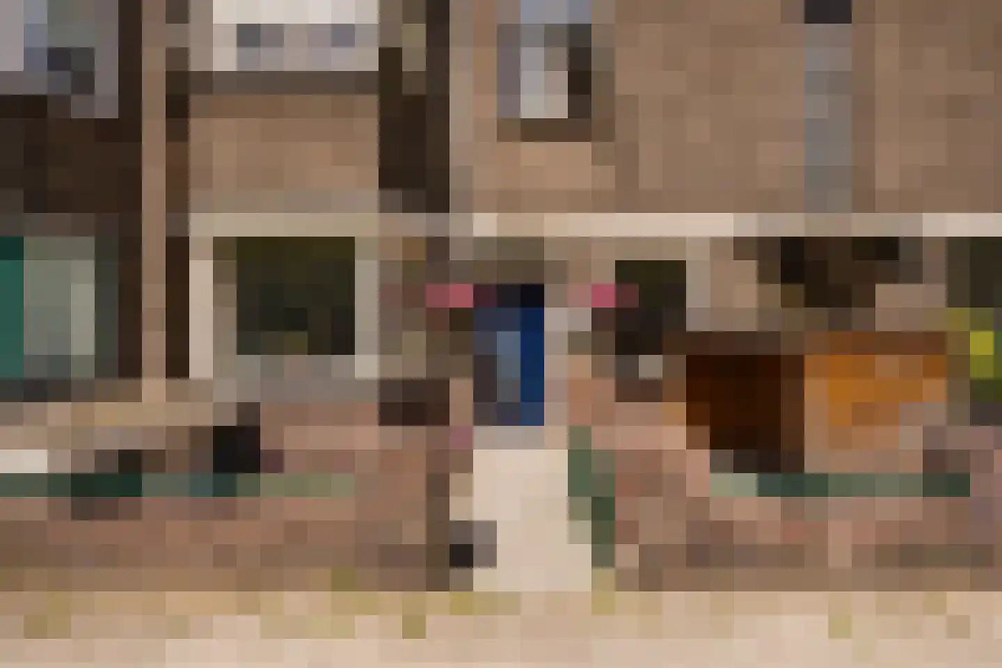 Vreeswijkstraat 93 Den Haag thumbnail 8