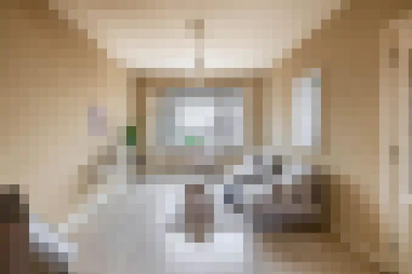 Vreeswijkstraat 98 Den Haag thumbnail 9