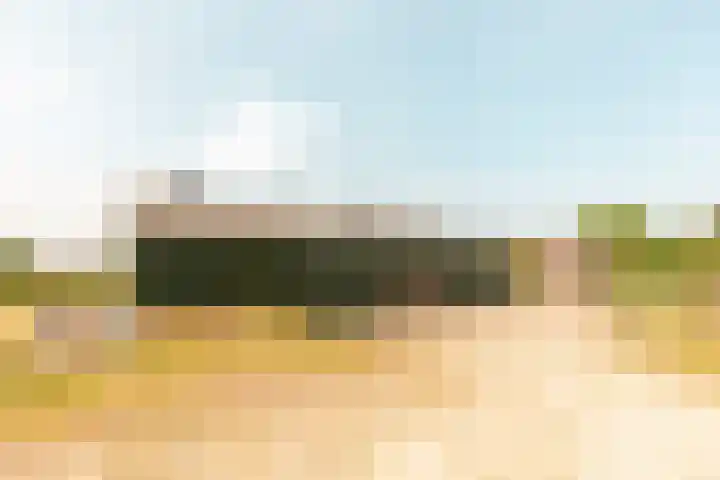 Vreeweg 51 Nunspeet thumbnail 39