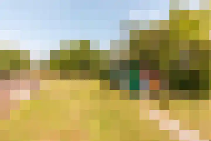 Vreeweg 51 Nunspeet thumbnail 41