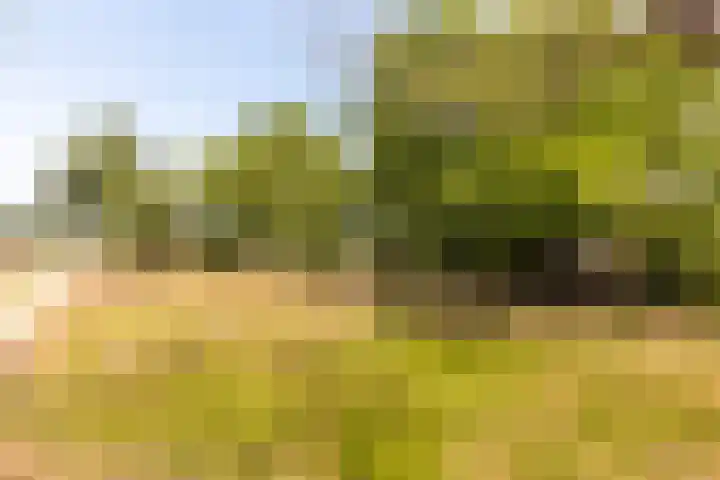 Vreeweg 51 Nunspeet thumbnail 43