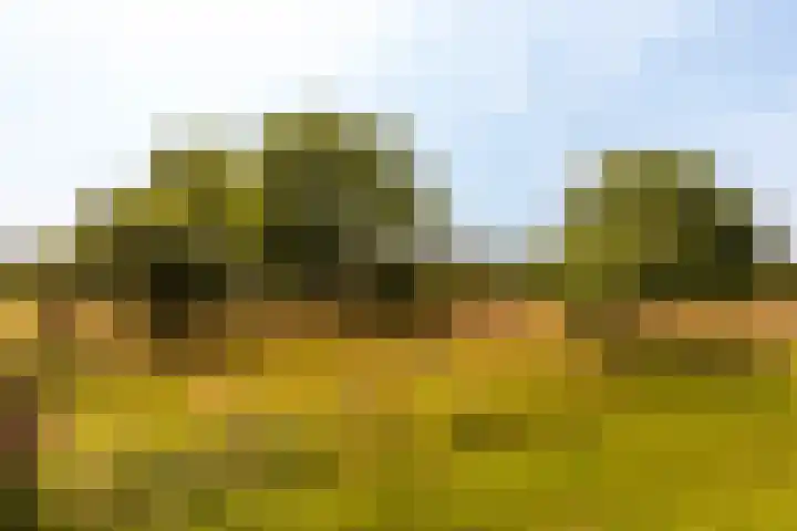 Vreeweg 51 Nunspeet thumbnail 7
