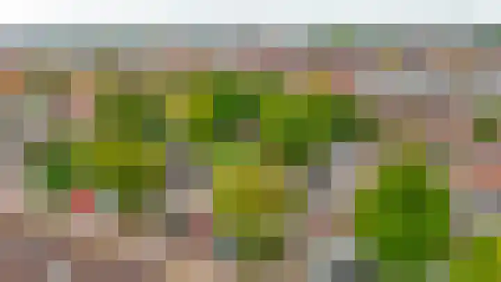 Vreewijk 16 Lisse thumbnail 37