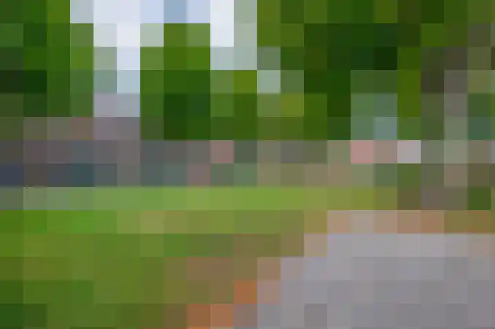 Vreewijk 16 Lisse thumbnail 38