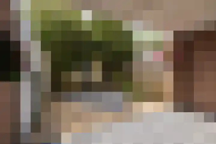 Vreewijk 2 A Lisse thumbnail 12