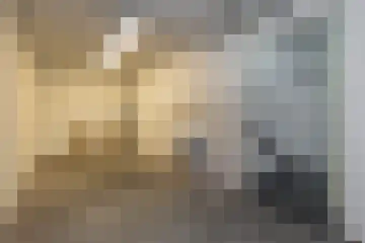 Vreewijk 2 A Lisse thumbnail 7