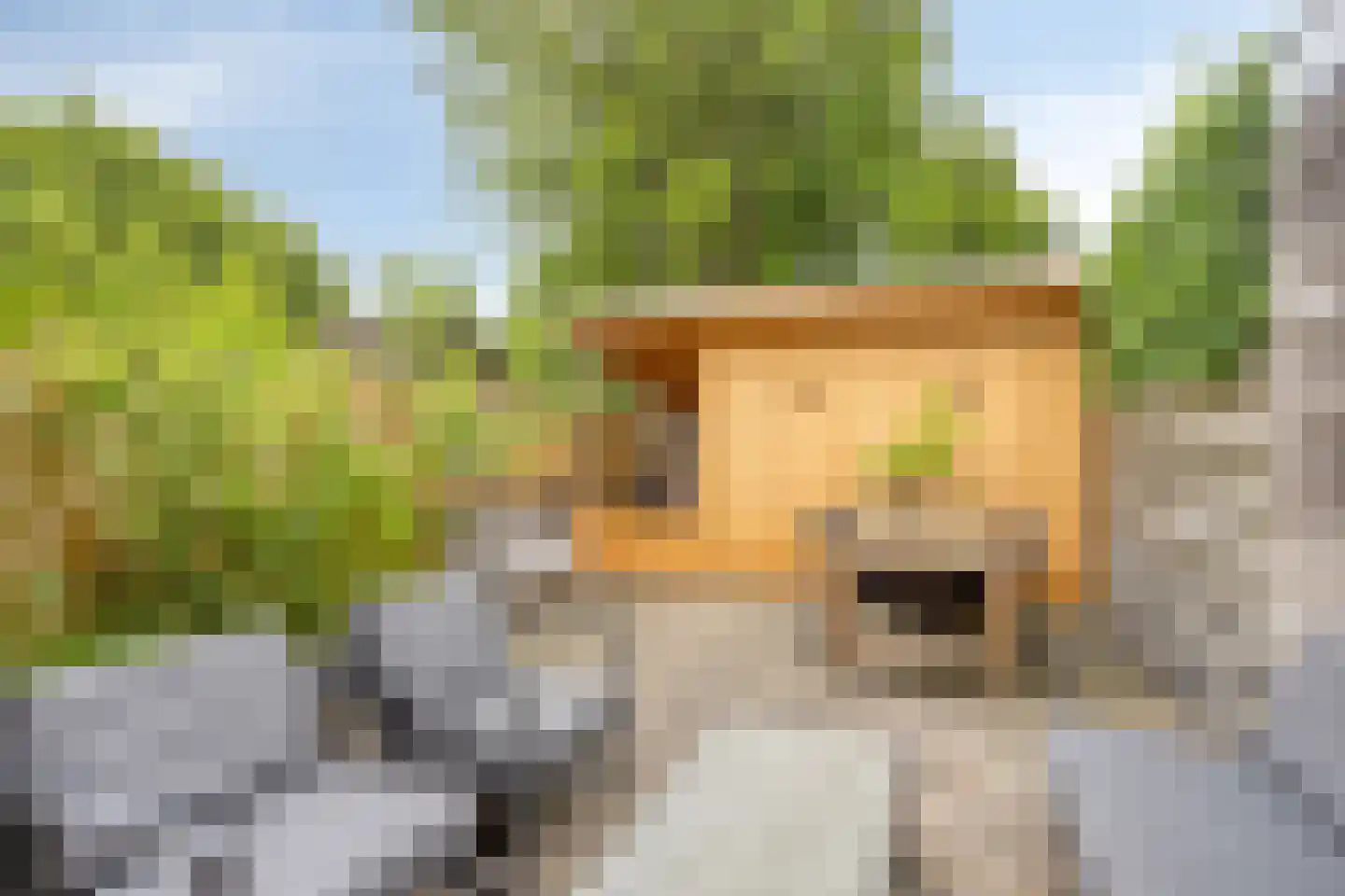 Vreewijk 26 Lisse thumbnail 12