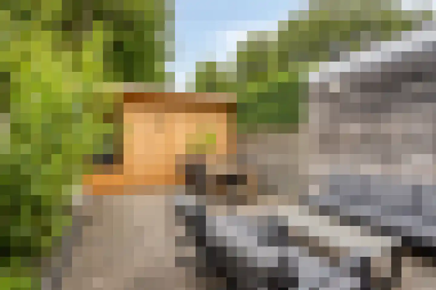 Vreewijk 26 Lisse thumbnail 13